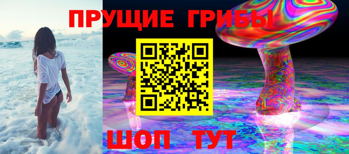 Верхний Уфалей  Псилоцибиновые грибы мицелий  Вход с VPN 