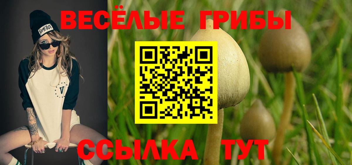 Галлюциногенные грибы мицелий Верхний Уфалей